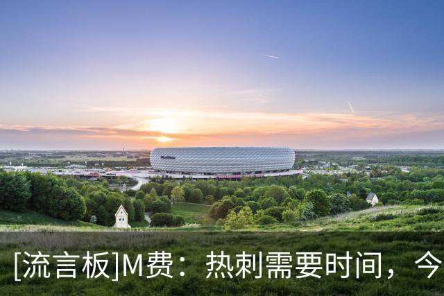 [流言板]M费：热刺需要时间，今天击败切尔西就是为了改变俱乐部心态